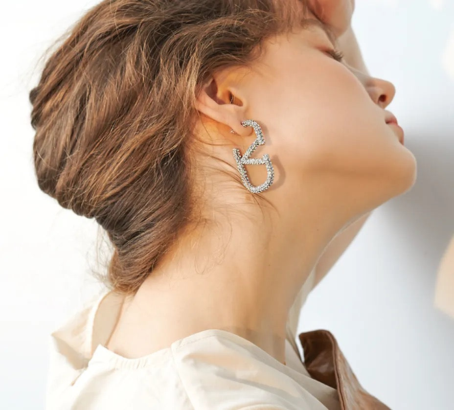 Valentino Inspired Designer earrings